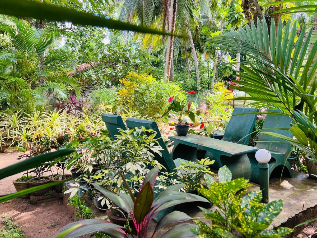 Sigiri Budget Homestay Sigiriya Bagian luar foto